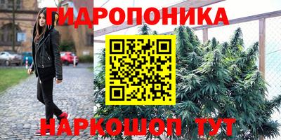 гашик Конаково