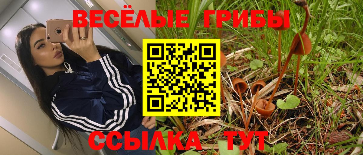 Красный Сулин  Псилоцибиновые грибы MAGIC MUSHROOMS  где продают   Псилоцибиновые грибы Psilocybine cubensis  Вход с VPN 
